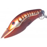 Gidgee Barcoo Barra Gidgee Barcoo Barra