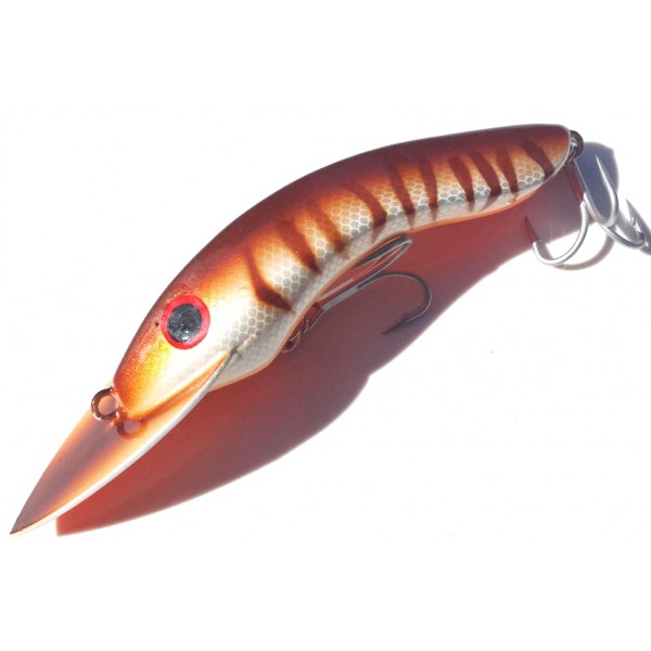 Gidgee Barcoo Barra Gidgee Barcoo Barra