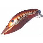 Gidgee Barcoo Barra Gidgee Barcoo Barra