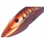 Gidgee Barcoo Barra Gidgee Barcoo Barra