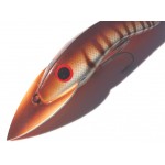 Gidgee Barcoo Barra Gidgee Barcoo Barra