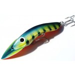 Gidgee Barcoo Barra