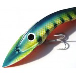 Gidgee Barcoo Barra