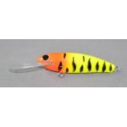 Gidgee Fry 
