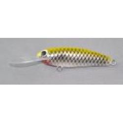 Gidgee Fry 