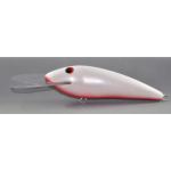 Gidgee Herring Gidgee Herring