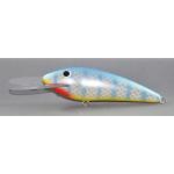 Gidgee Herring Gidgee Herring
