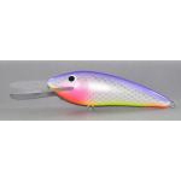 Gidgee Herring Gidgee Herring