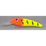Gidgee Sardinops