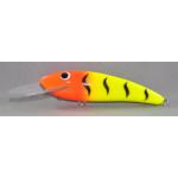 Gidgee Sardinops