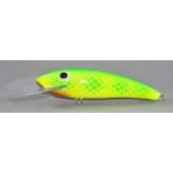 Gidgee Sardinops