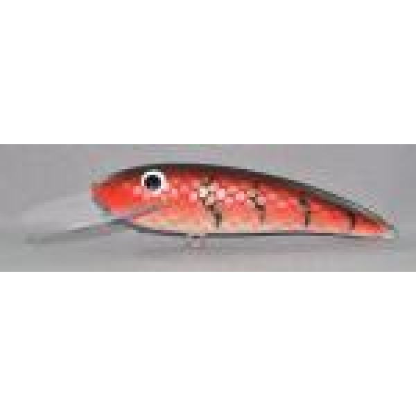 Gidgee Sardinops