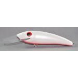 Gidgee Sardinops