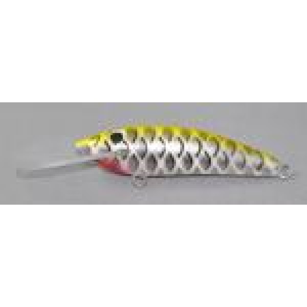 Gidgee Sprat 