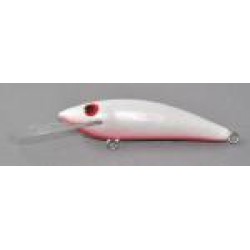 Gidgee Sprat 
