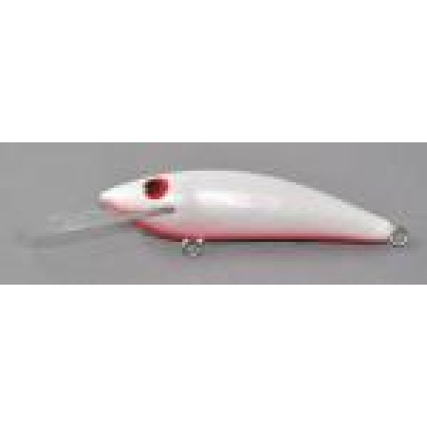 Gidgee Sprat 