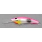 Gidgee Sprat Gidgee Sprat