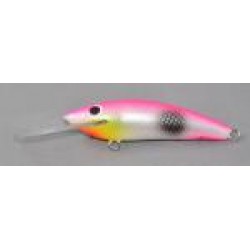 Gidgee Sprat 