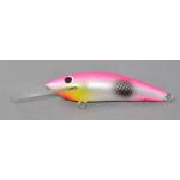 Gidgee Sprat Gidgee Sprat