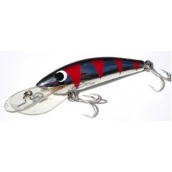 Gidgee Sprat 