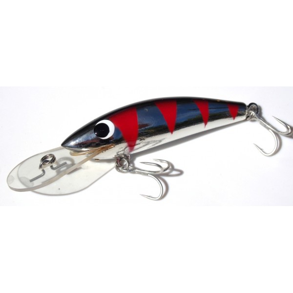 Gidgee Sprat 