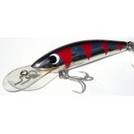 Gidgee Sprat 
