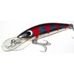 Gidgee Sprat 