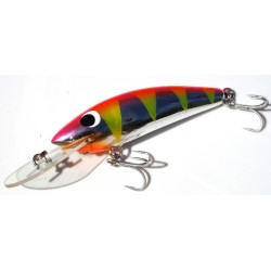 Gidgee Sprat 