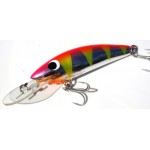 Gidgee Sprat 