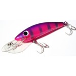 Gidgee Sprat 