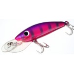 Gidgee Sprat 