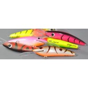 Sprat (12)