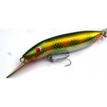 Gidgee Stinga 120 mm