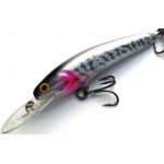 Leads Lure 4" Sardine Deep Diver