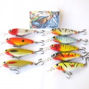 Herring (18)
