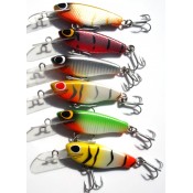 Little Herring (5)