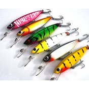 Rainbow (6)