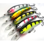 OLM - David Pearce - 105 mm Barra Deep