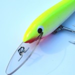 Twin River Lures 90mm Sard